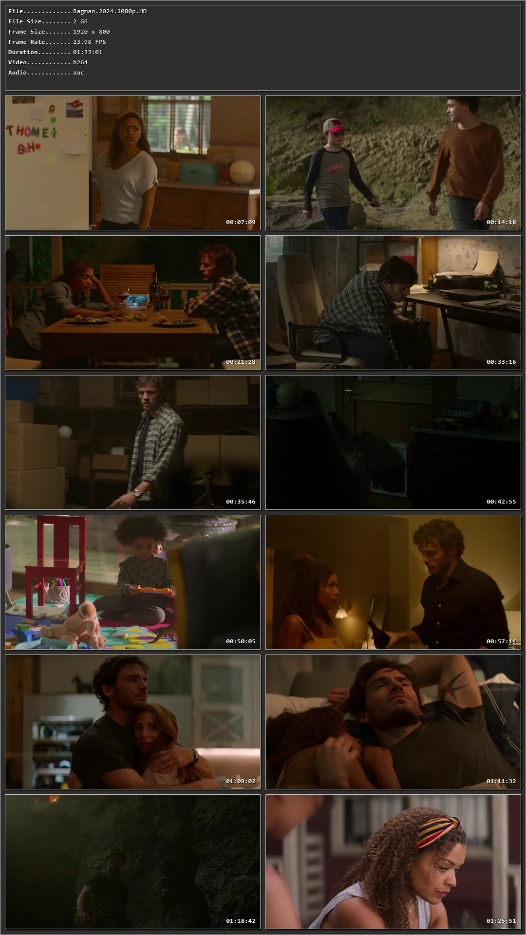 Bagman (2024) Hindi Dual Audio HDRip 1080p – 720p – 480p