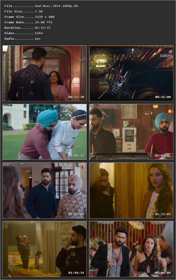Bad Newz 2024 Hindi HDRip 720p – 480p – 1080p