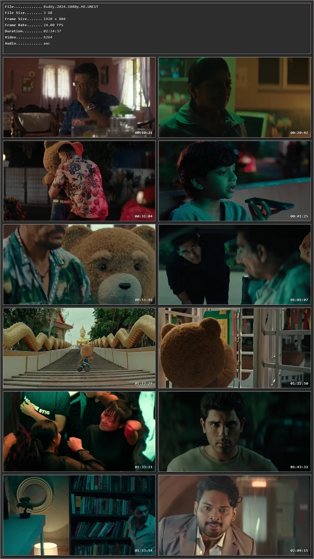 Buddy (2024) (Hindi – Telugu) HDRip 720p – 480p – 1080p