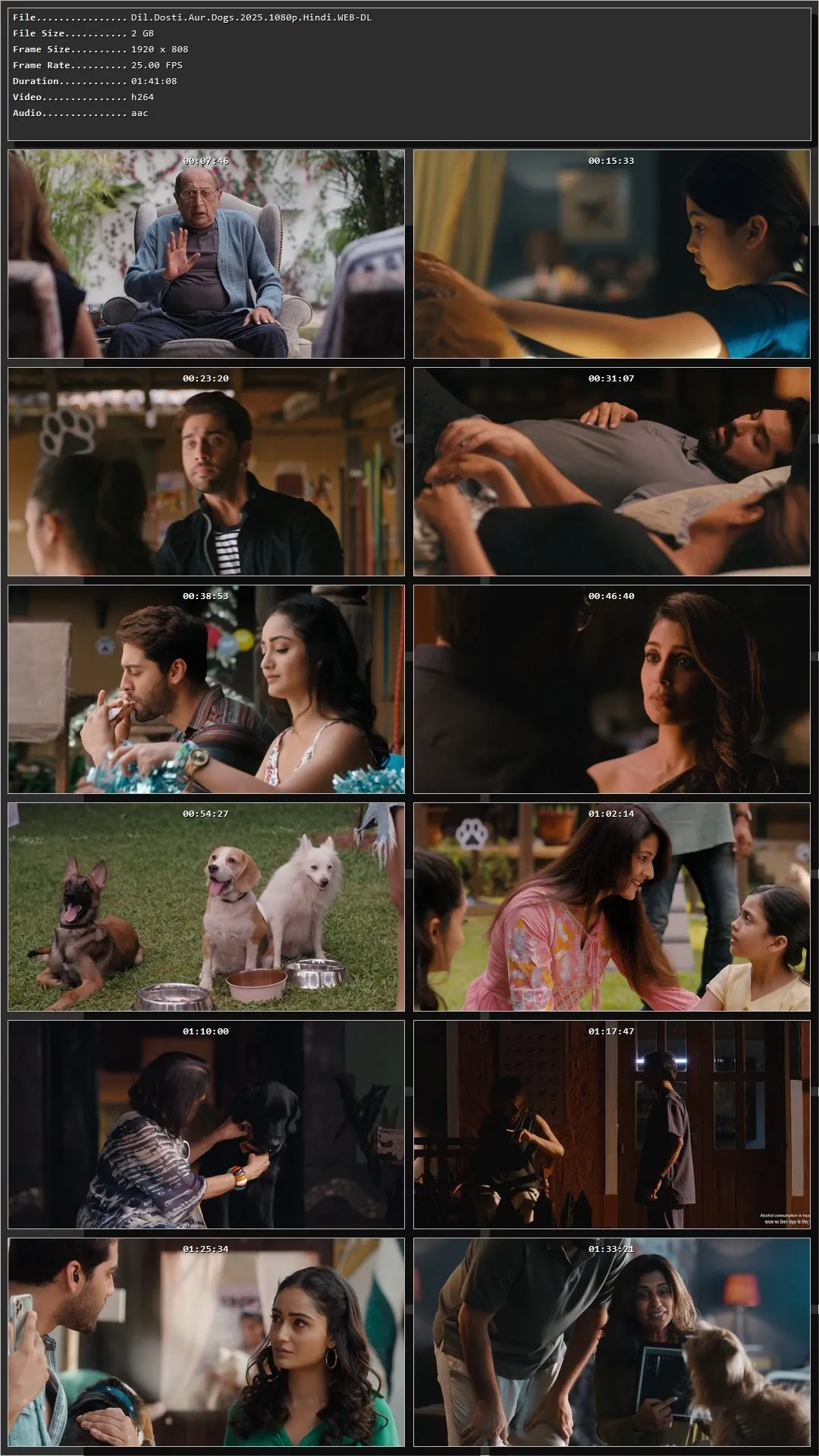 Dil Dosti Aur Dogs 2025 Hindi HDRip 720p – 480p – 1080p