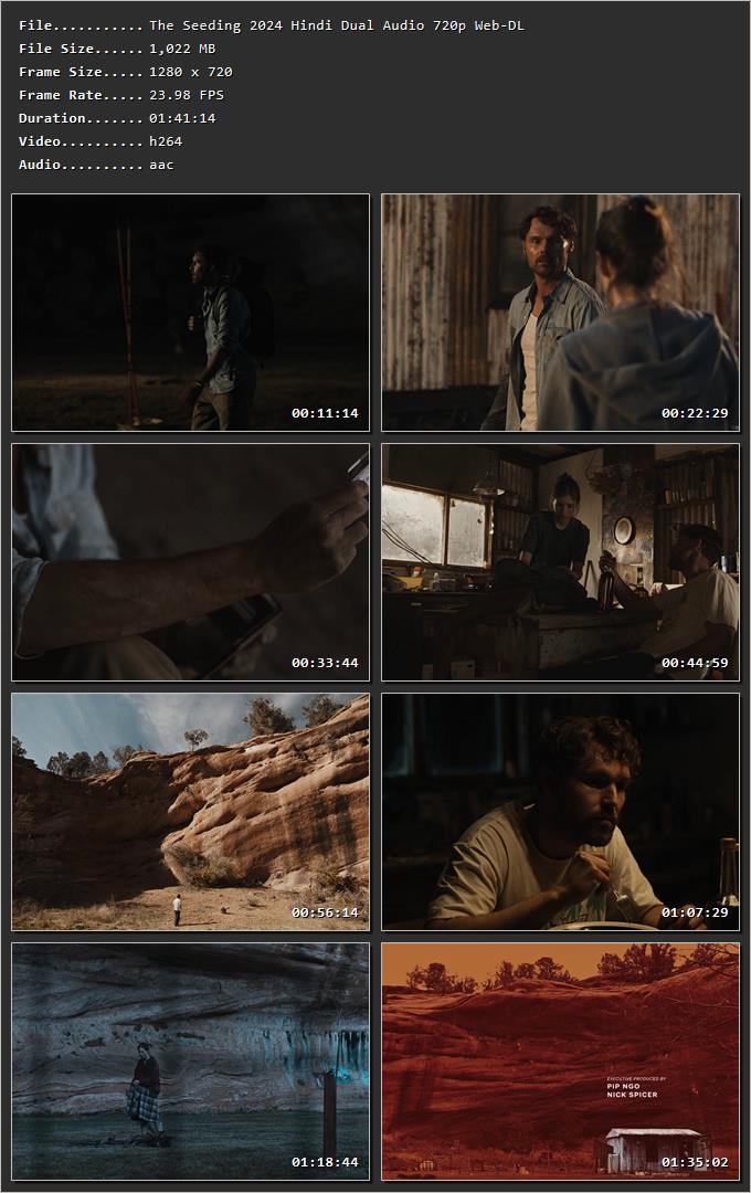 The Seeding 2024 Hindi Dual Audio HDRip 1080p – 720p – 480p