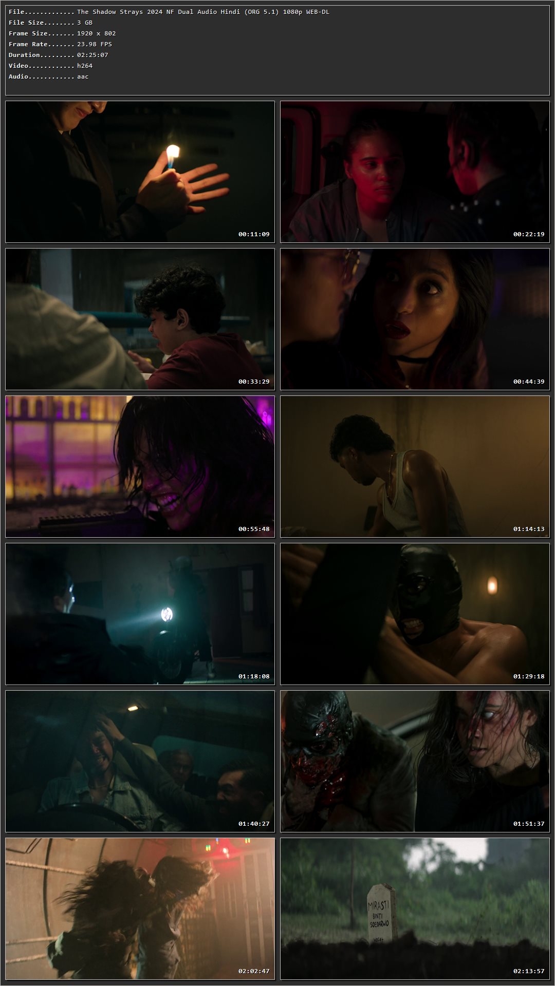 The Shadow Strays 2024 Hindi Dual Audio HDRip 1080p – 720p – 480p