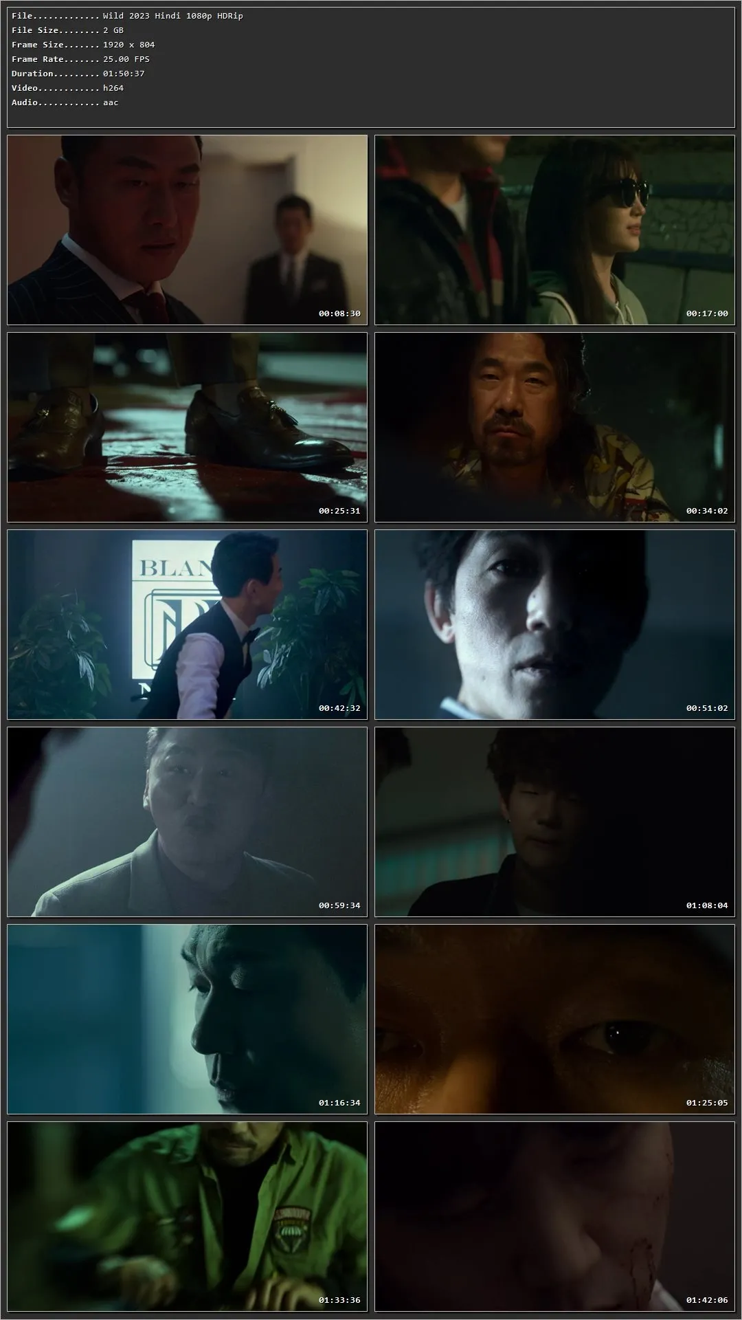 The Wild 2024 Hindi HDRip 720p – 480p – 1080p